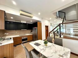 Holland Link (D10), Terrace #593319431
